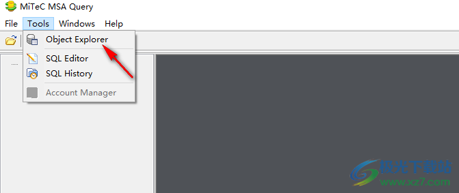 MiTeC MSA Query(MSA查询工具)