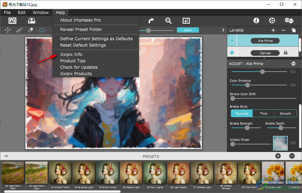 JixiPix Artista Impresso Pro滤镜优化软件