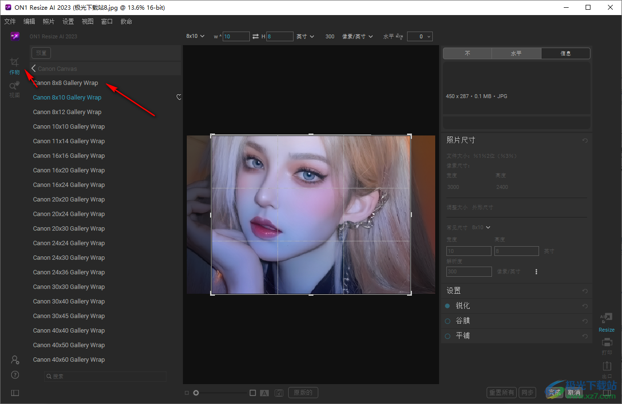 ON1 Resize Ai 2023(照片放大软件)
