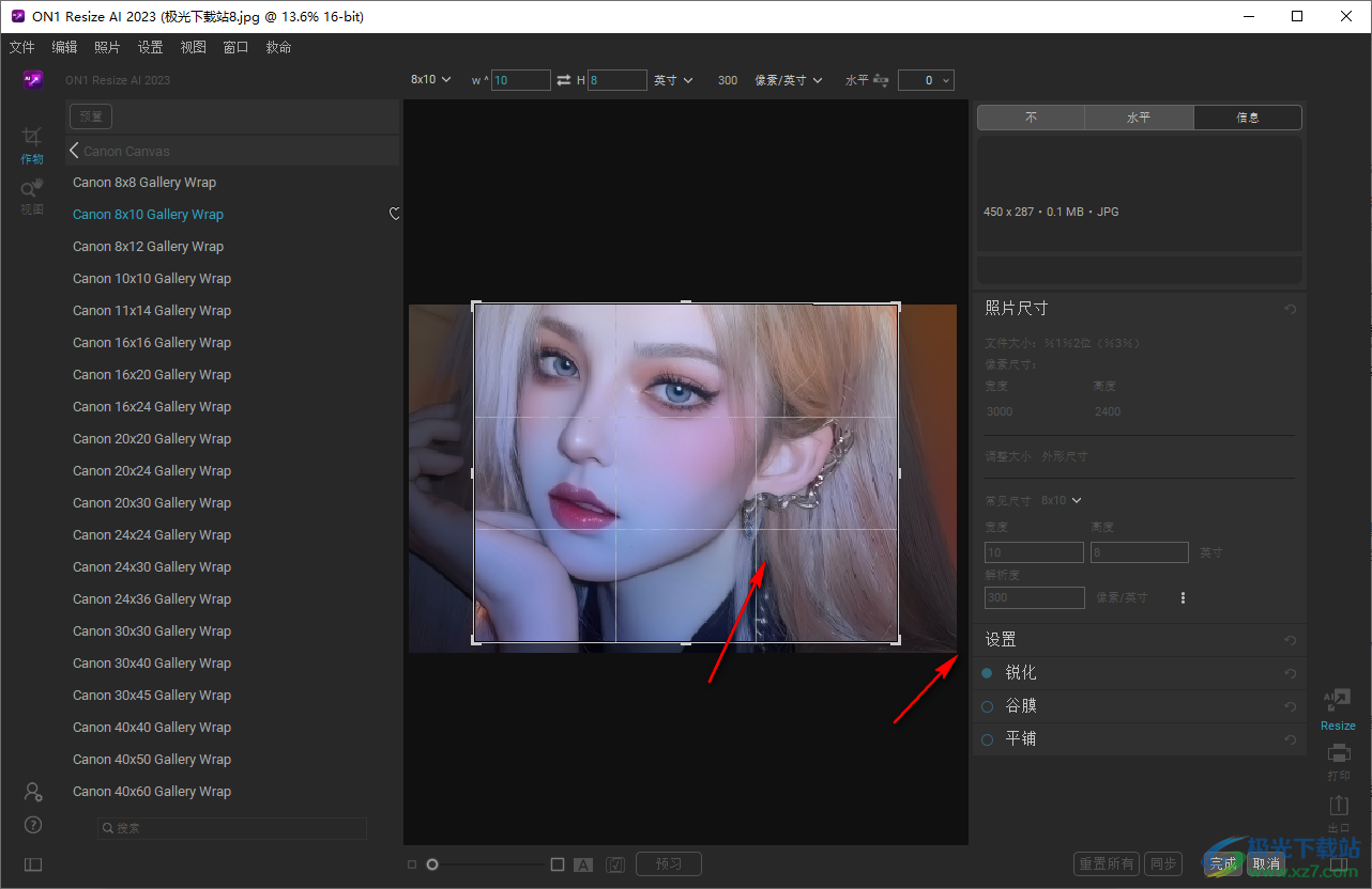 ON1 Resize Ai 2023(照片放大软件)