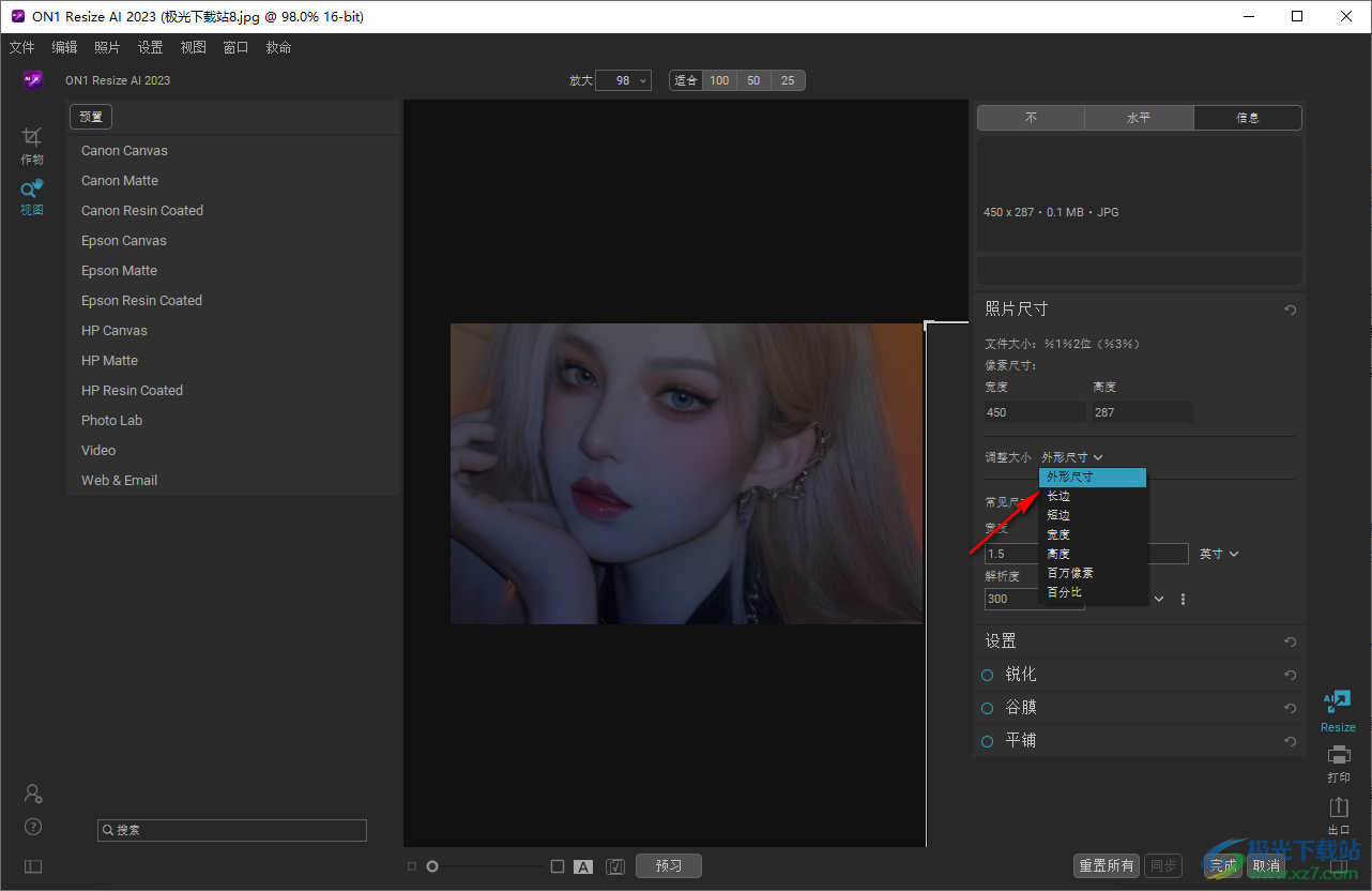 ON1 Resize Ai 2023(照片放大软件)