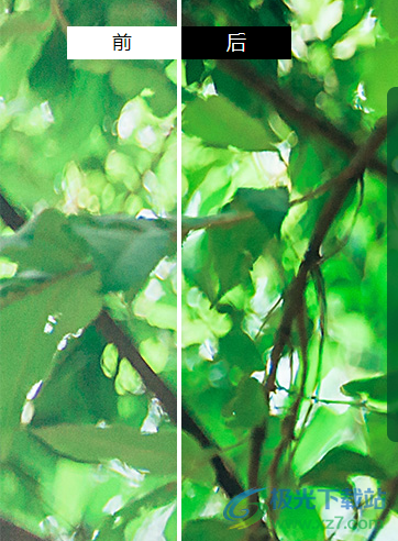 Leawo 照片增强器(Leawo Photolns)