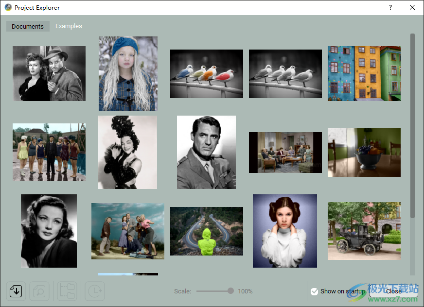 codijy recoloring(图片着色工具)