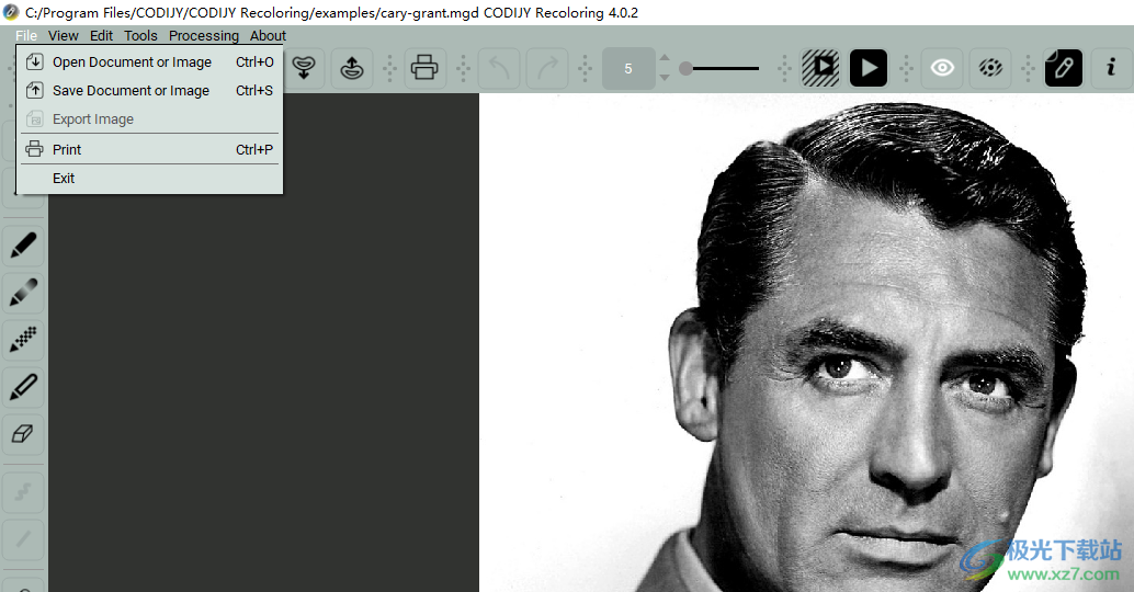 codijy recoloring(图片着色工具)