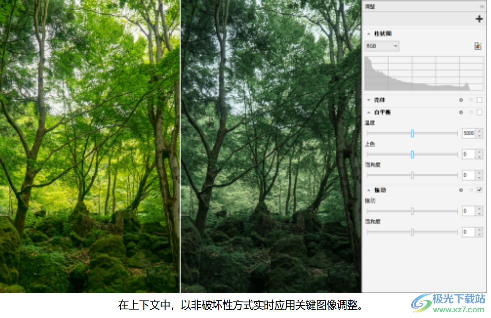 CorelDRAW Standard 2021安装包下载