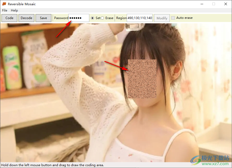 Reversible Mosaic可逆打码