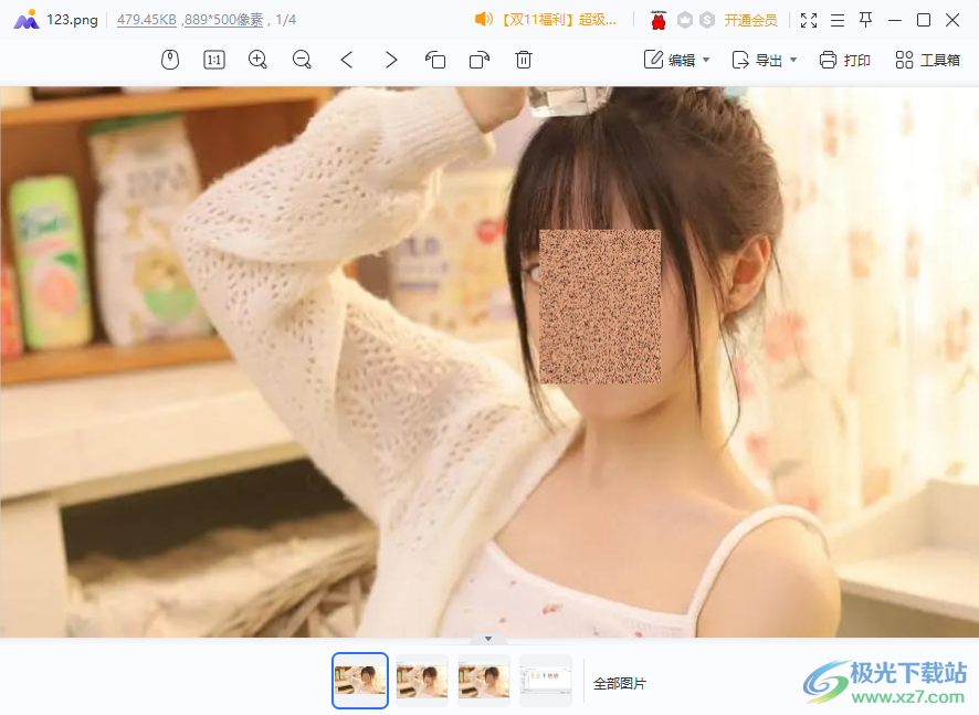 Reversible Mosaic可逆打码