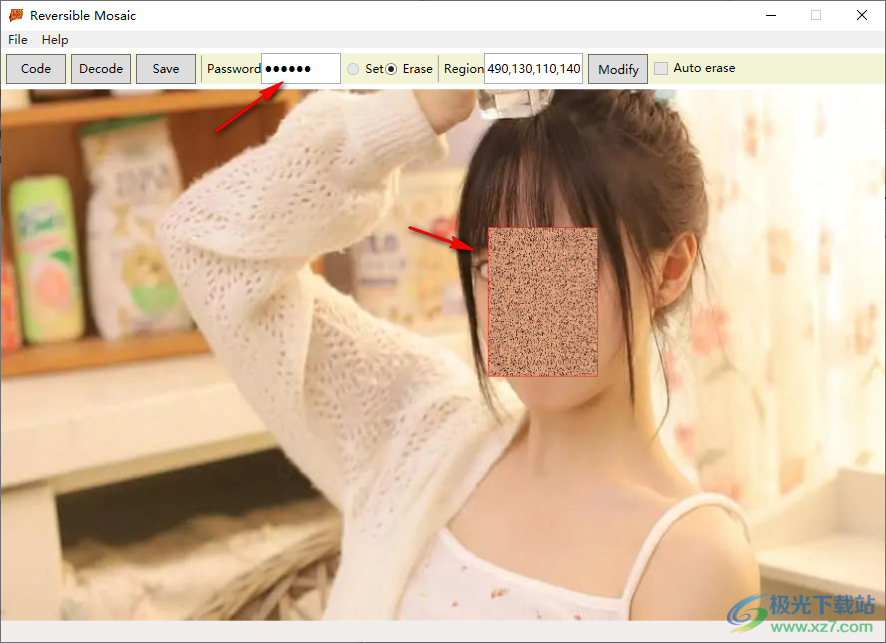 Reversible Mosaic可逆打码