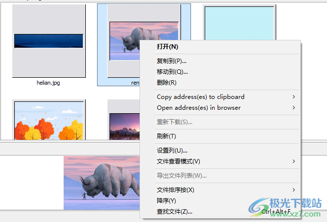 图像浏览下载器(Extreme Picture Finder)