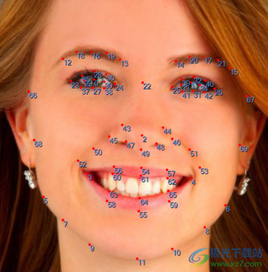 luxand facesdk 7破解版(人脸识别)