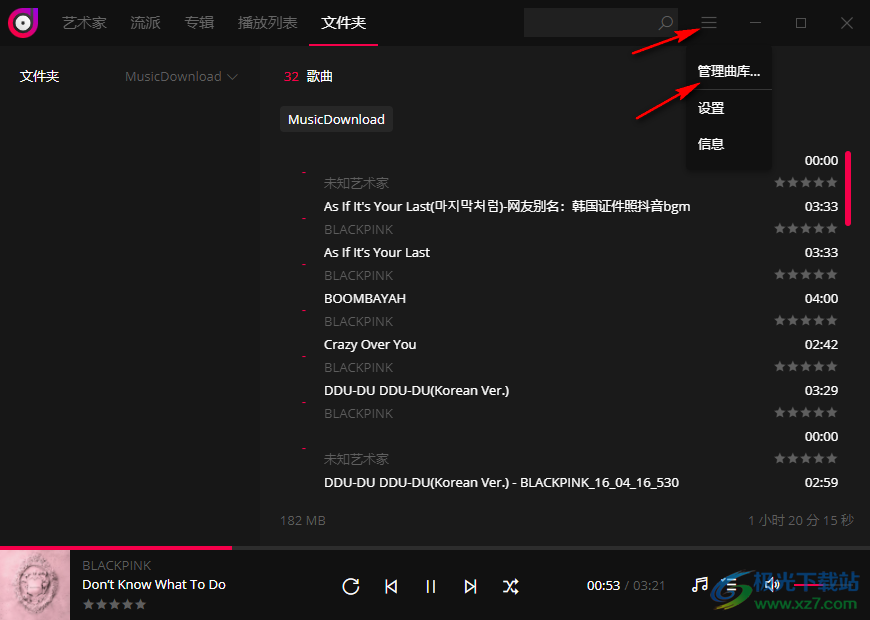 dopamine离线播放器