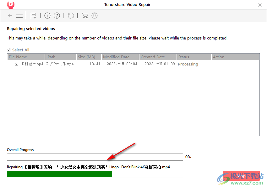 tenorshare video repair(视频修复)