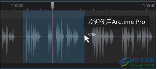arctime pro字幕软件