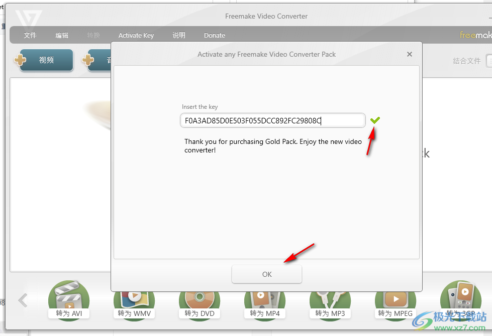 Freemake Video Converter(视频转换器)