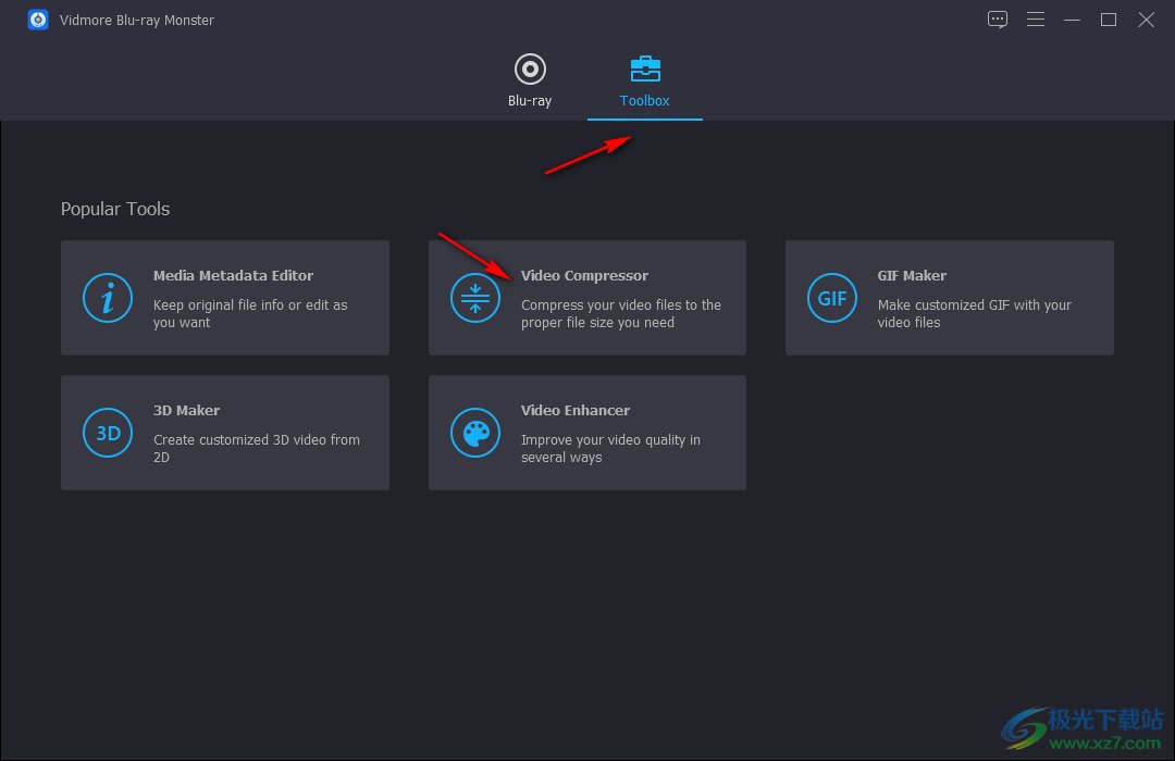 Vidmore Blu-ray Monster破解版(DVD翻录转换)