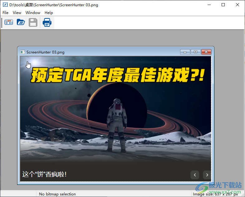 ScreenHunter Plus(屏幕抓取工具)