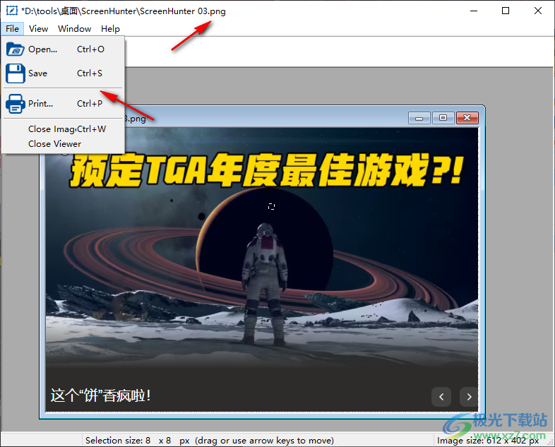 ScreenHunter Plus(屏幕抓取工具)