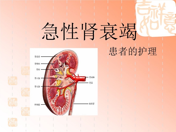 肾功能衰竭ppt课件下载-急性肾衰竭护理常规ppt