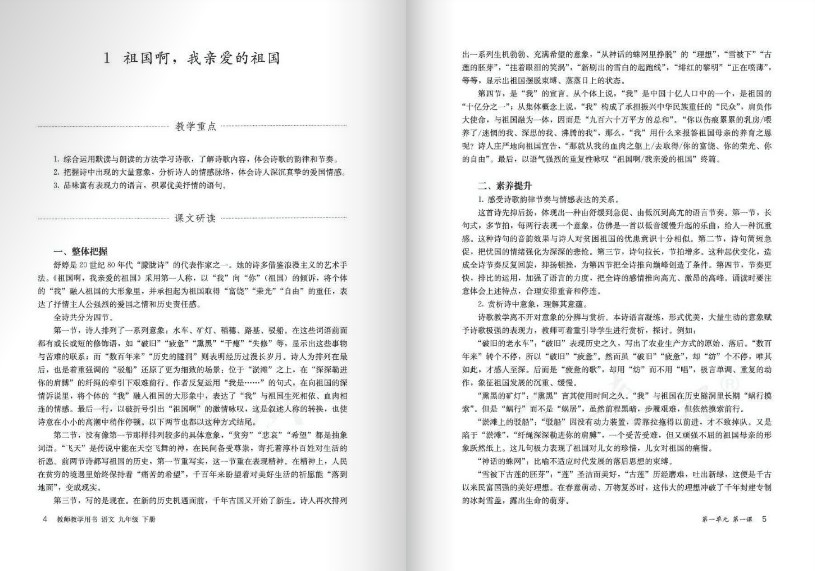 语文九年级下册人教版
