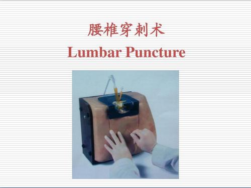 腰椎穿刺ppt下载-腰椎穿刺术ppt