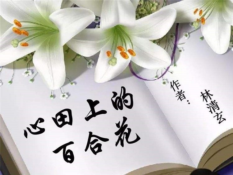 心田上的百合花ppt