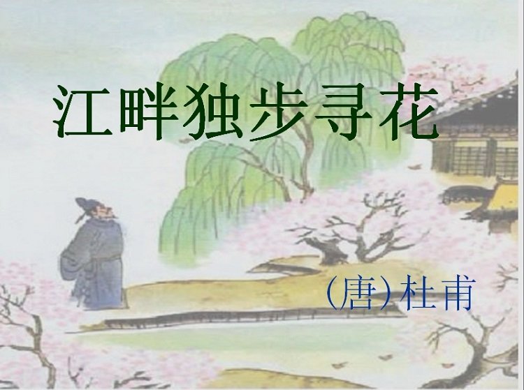 江畔独步寻花ppt课件免费下载-江畔独步寻花ppt课件