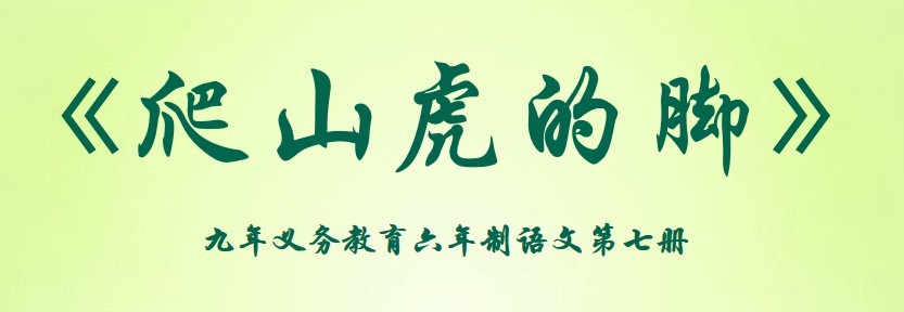 爬山虎的脚课件完美版下载-爬山虎的脚设计优秀教案ppt免费版