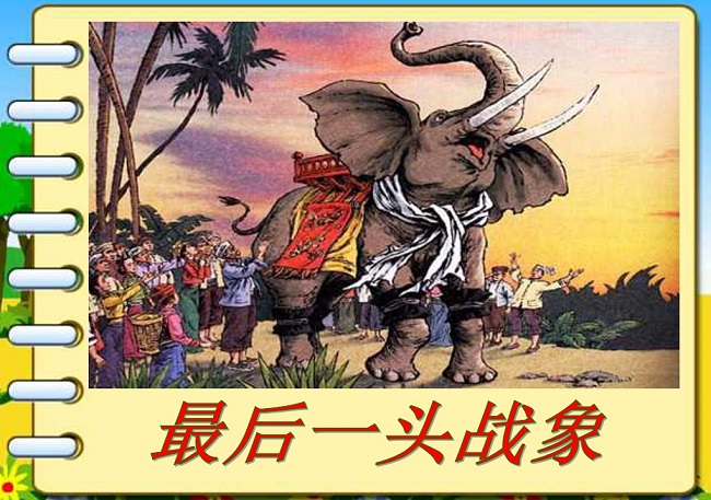 最后一头战象ppt免费下载-最后一头战象ppt课件完美版