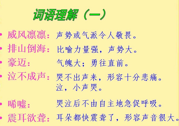 最后一头战象ppt免费版