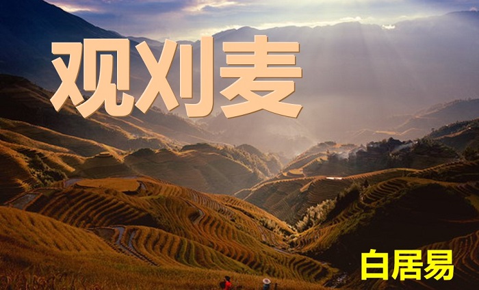 观刈麦ppt免费版