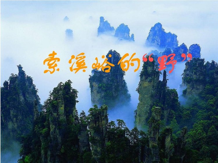 索溪峪的野ppt完美版下载-索溪峪的野ppt课件人教版