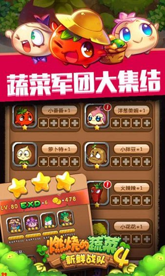 燃烧的蔬菜4电脑版