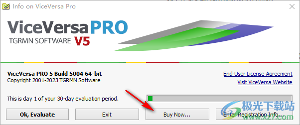 viceversa pro(同步备份软件)