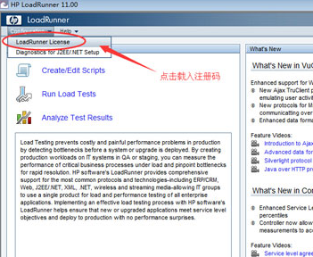 loadrunner11
