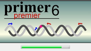 primer6破解版下载-primer premier6最新破解版v6.0 电脑版