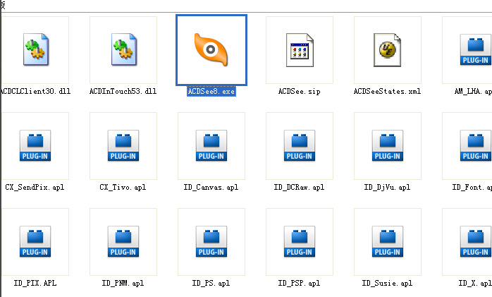 acdsee10免费版
