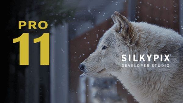 SILKYPIX Developer Studio Pro 11.0.12.1 破解版下载【Win+Mac】-1